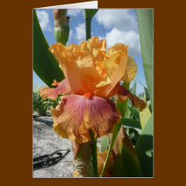 IRIS CARD - BOTTLE ROCKET - Blank Note Card cards
