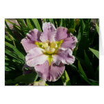IRIS CARD - DUREL LATECOMER - Blank Card