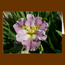 IRIS CARD - DUREL LATECOMER - Blank Card cards