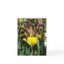 IRIS CARD - PIPER MAY - Blank Note Card