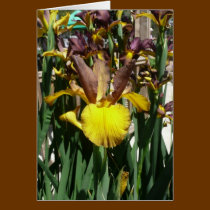 IRIS CARD - PIPER MAY - Blank Note Card cards