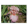 IRIS CARD PRETTY PASTEL - Blank Card