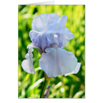 iris cards