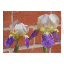 Iris cards