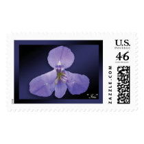 "Iris" - Dark Blue Stamp by wearartware "Iris" - Dark Blue Stamp