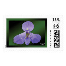 "Iris" - Dark Green Stamp by wearartware "Iris" - Dark Green Stamp