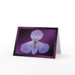 "Iris" - Dark Purple Background GC Greeting Card