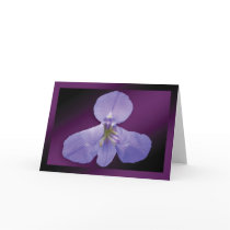 "Iris" - Dark Purple Background GC cards