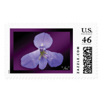 "Iris" - Dark Purple Stamp