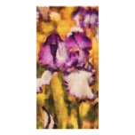 Iris - Diafragma violeta photo cards