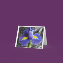 Iris Effect Note Card