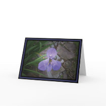 "Iris & Flagstone" - Dark Blue Border GC cards