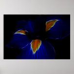 Iris flower - France and meaning posters