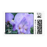 Iris Flower on US Postage