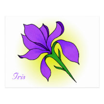 Iris Flower -postcard