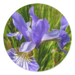 Iris Flower stickers