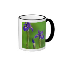 Iris Flowers Coffee Mug