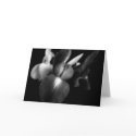 Iris Flowers in b/w cards