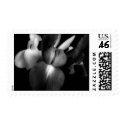 Iris Flowers in b/w postage