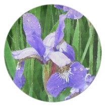 Iris Flowers Plate plates