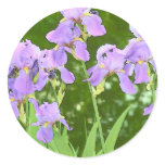 Iris flowers stickers