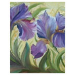 IRIS flyers