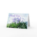 Iris Garden cards