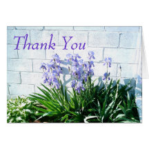 Iris Garden Greeting Card