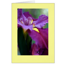 "Iris" Greeting Cards