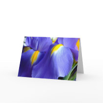Iris Happy Birthday Card by floraluniverses Iris Happy Birthday Card