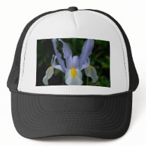 iris hats by stranger2315 iris hats