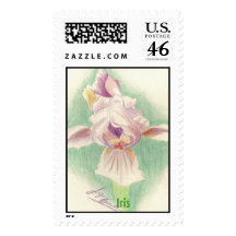 iris in color pencil, Iris Stamps