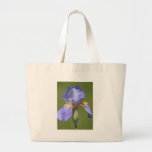 Iris in Spring Bags