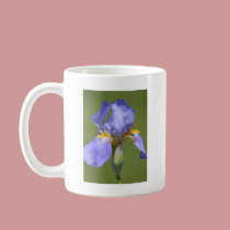 Iris in Spring mugs