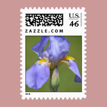 Iris in Spring stamps