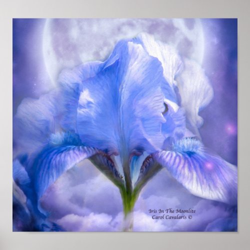 Iris In The Moonlite Art Poster/Print print