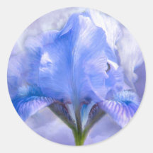 Iris In The Moonlite Art Sticker