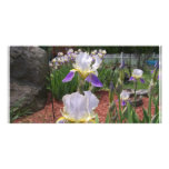 Iris in the Springtime Customized Photo Card