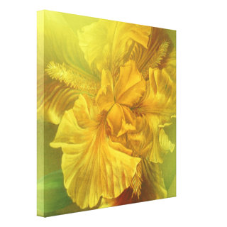 Iris inner beauty (warm yellow) art square canvas gallery wrapped canvas