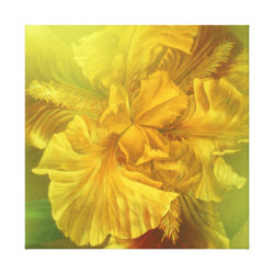Iris inner beauty (warm yellow) square canvas wrappedcanvas