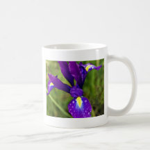 iris.jpg coffee mug