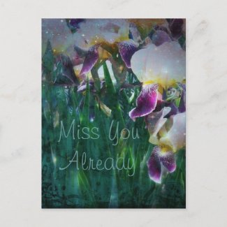 Iris Miss You Already Postcard postcard