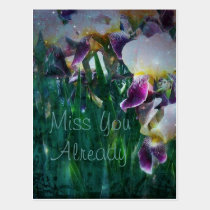 Iris Miss You Already Postcard postcards