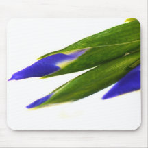 Iris Mouse Pads