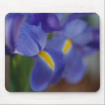 Iris Mousepad mousepads