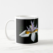 Iris Mug