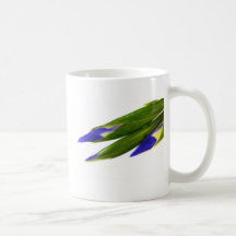 Iris Mugs