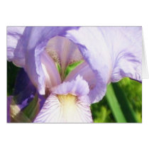 Iris Note Card cards