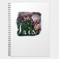 Iris Notebook notebooks