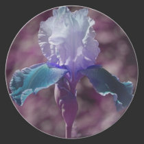 Iris of Blues plates